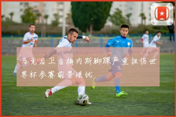 马竞后卫吉梅内斯脚踝严重扭伤世界杯参赛前景堪忧